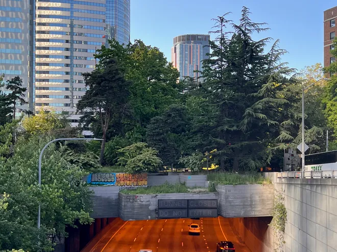 A freeway running beneath a planted overpass, tall evergreens and office towers rising behind