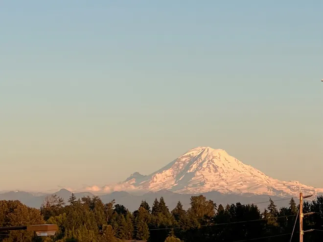 A snow-covered Mount Rainier glowing pink at sunset above a dark line of evergreens